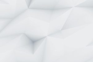 Demo image 00001