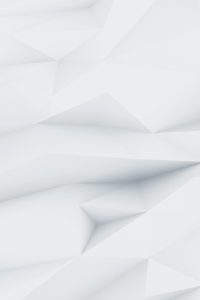 Demo image 00004